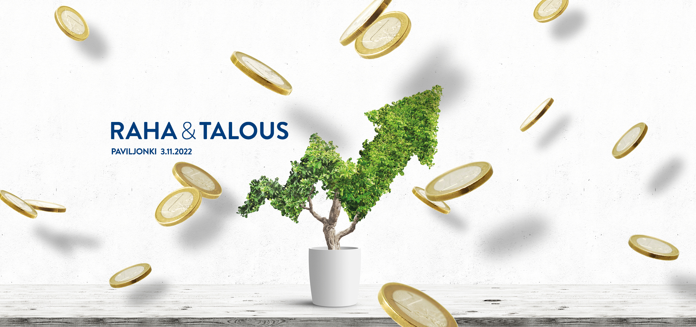 Talous Raha Raha&Talous - Paviljonki